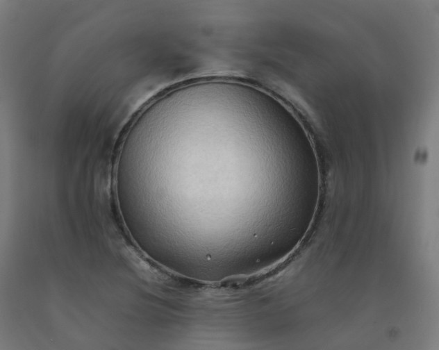 X0000092271220200709281217