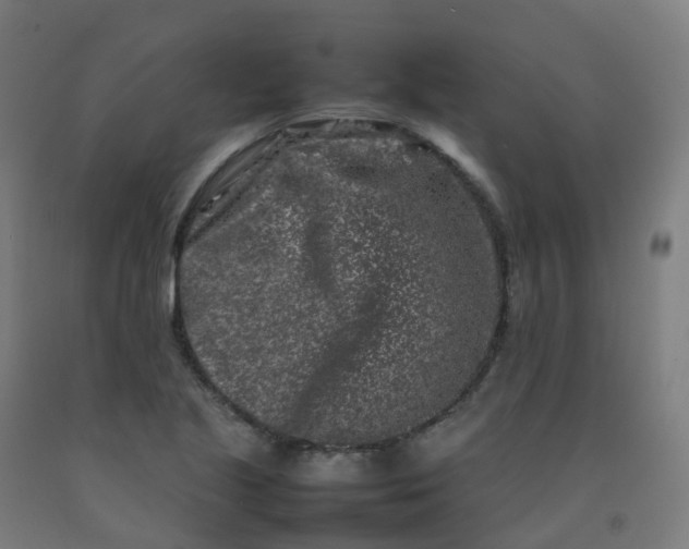 X0000092271221200709281217