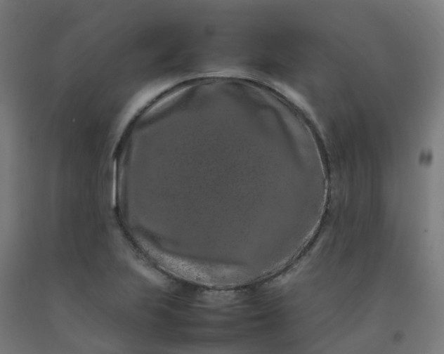 X0000092271223200709281217