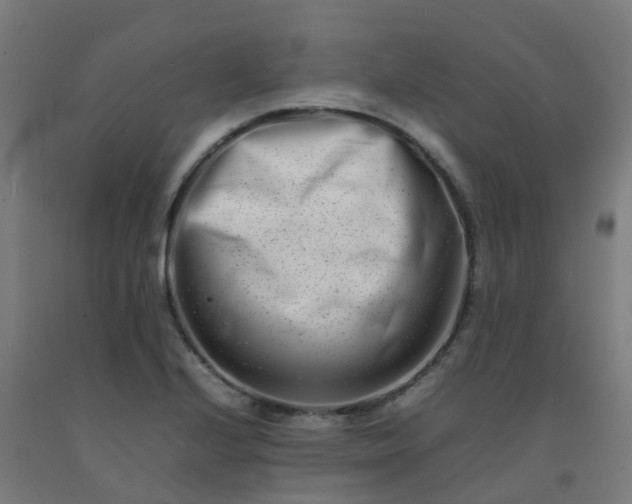 X0000092271224200709281217