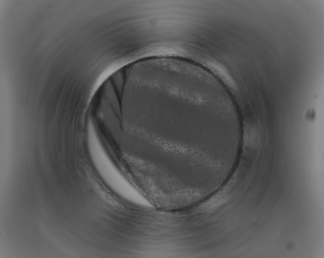 X0000092271226200709281217
