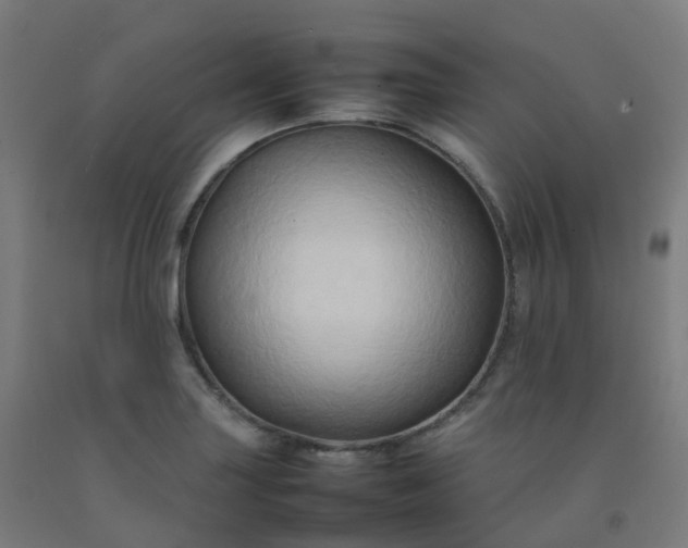 X0000092271227200709281217