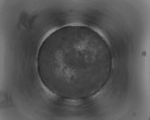 X0000092271229200709281217
