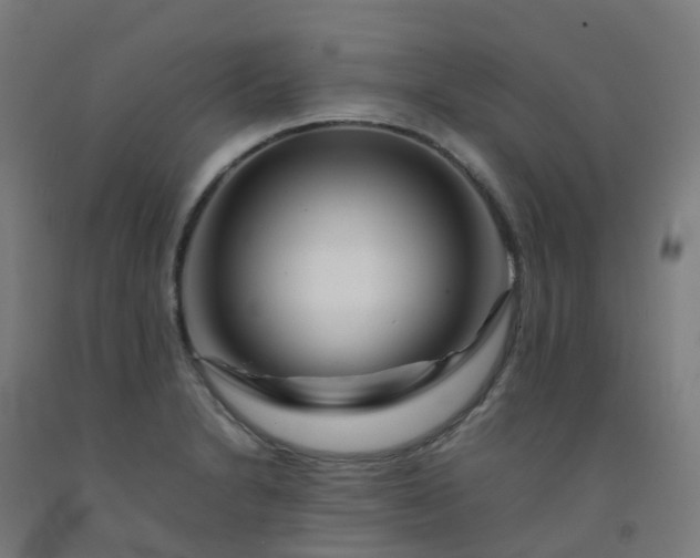 X0000092271230200709281217