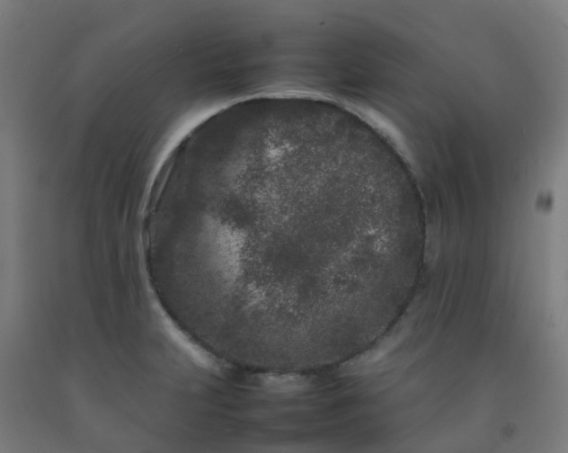 X0000092271231200709281217