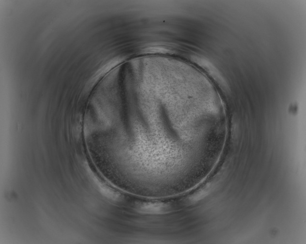 X0000092271233200709281217