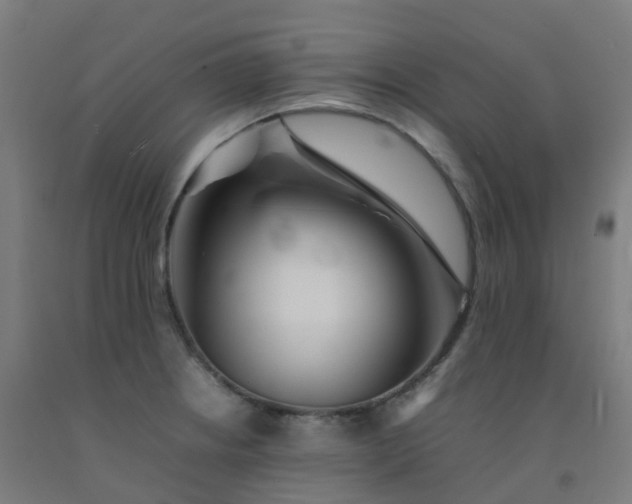 X0000092271234200709281217