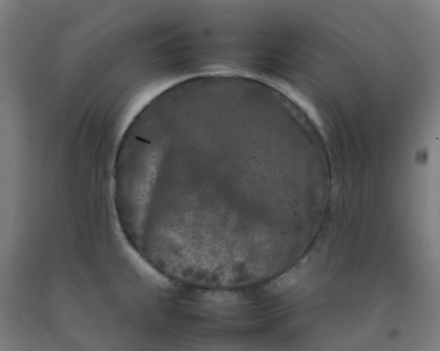 X0000092271239200709281217