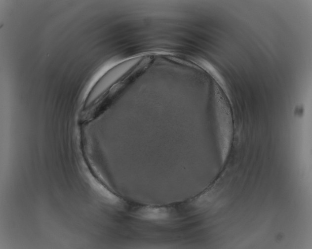 X0000092271243200709281217