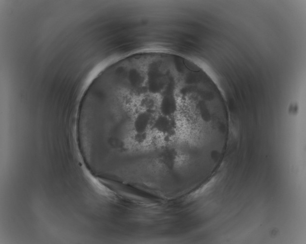 X0000092271245200709281217