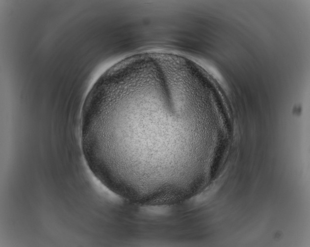 X0000092271247200709281217
