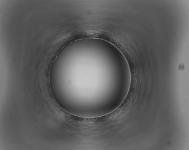 X0000092271249200709281217