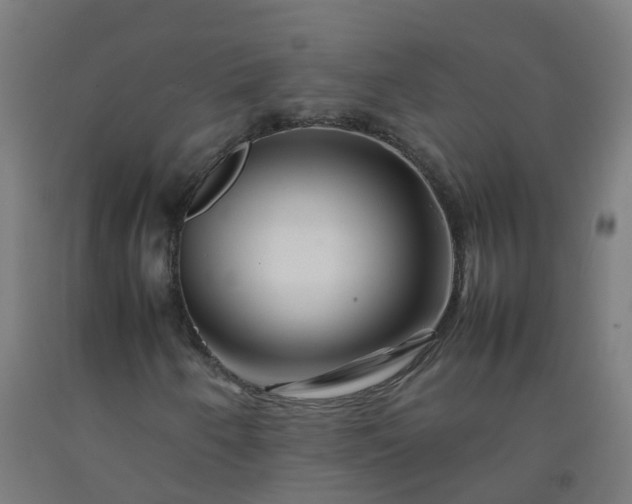 X0000092271250200709281217