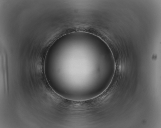 X0000092271252200709281217