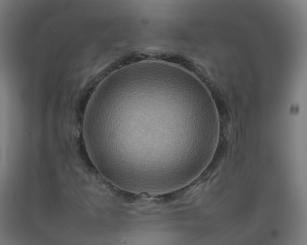 X0000092271253200709281217