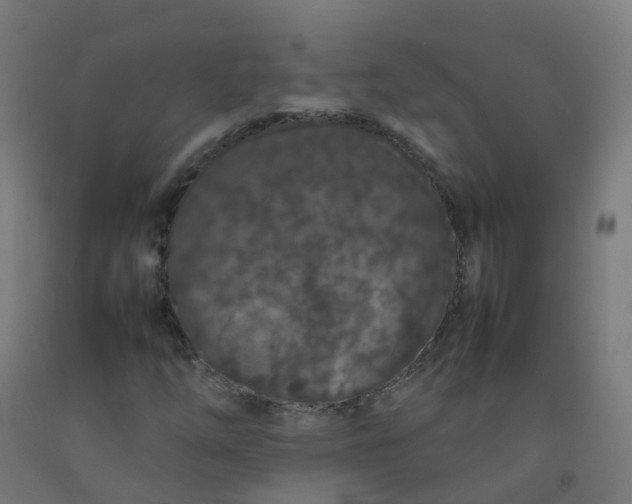 X0000092271254200709281217