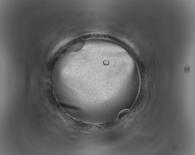 X0000092271255200709281217