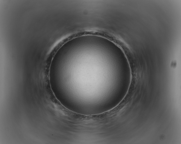 X0000092271256200709281217