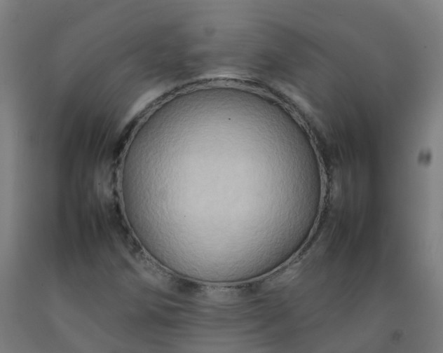 X0000092271258200709281217