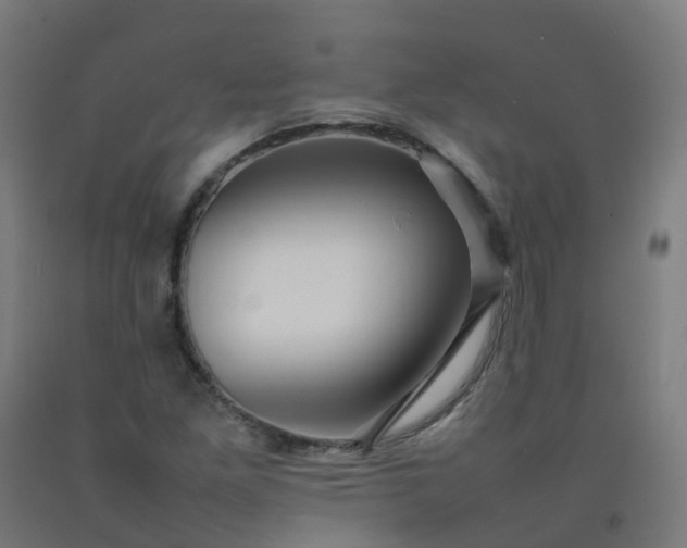 X0000092271261200709281217
