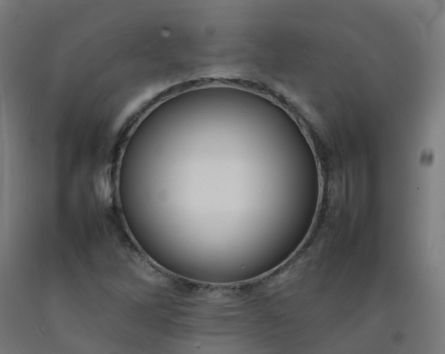 X0000092271262200709281217