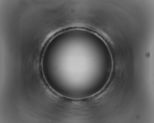 X0000092271264200709281217