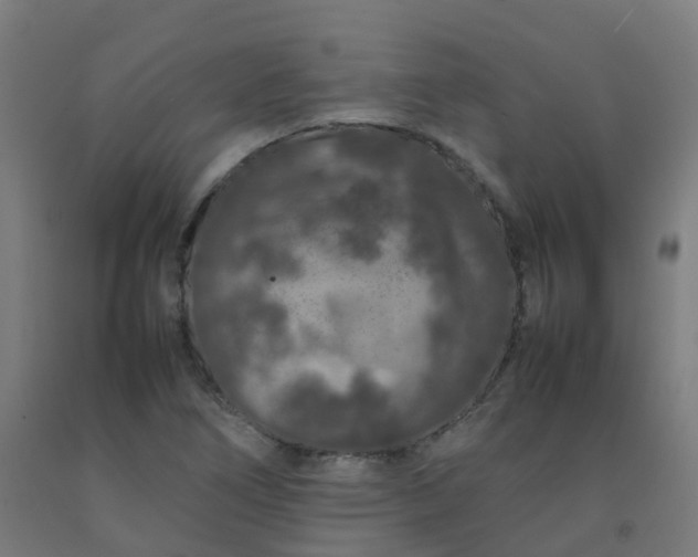 X0000092271266200709281217