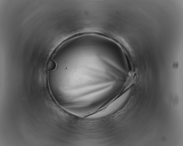 X0000092271268200709281217