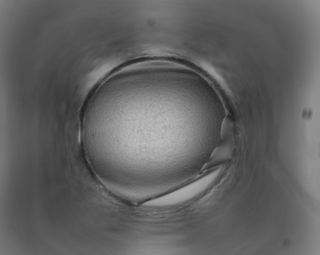 X0000092271269200709281217