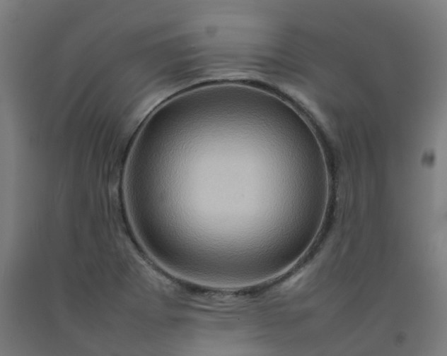 X0000092271273200709281217