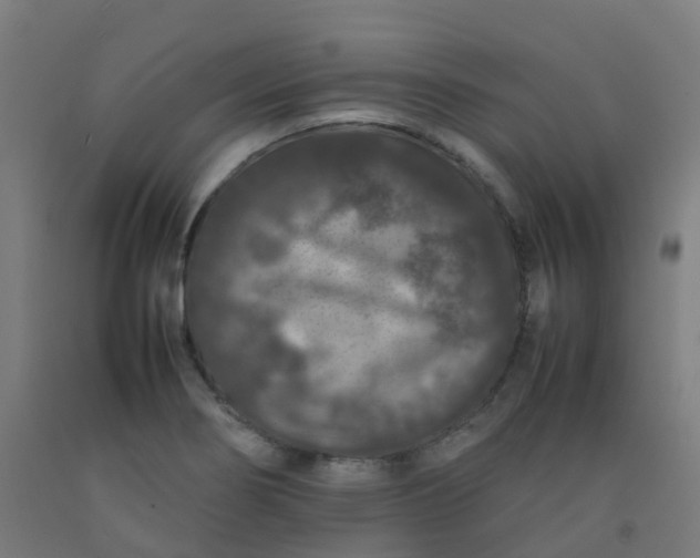 X0000092271274200709281217
