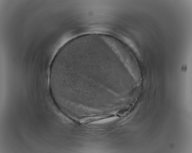 X0000092271275200709281217
