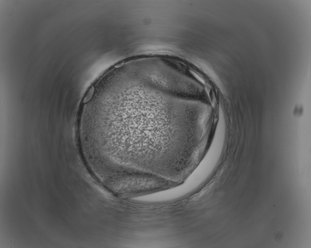 X0000092271277200709281217
