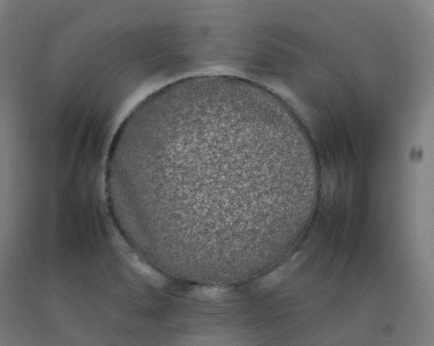 X0000092271278200709281217