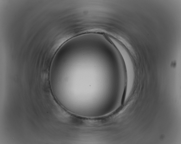 X0000092271281200709281216
