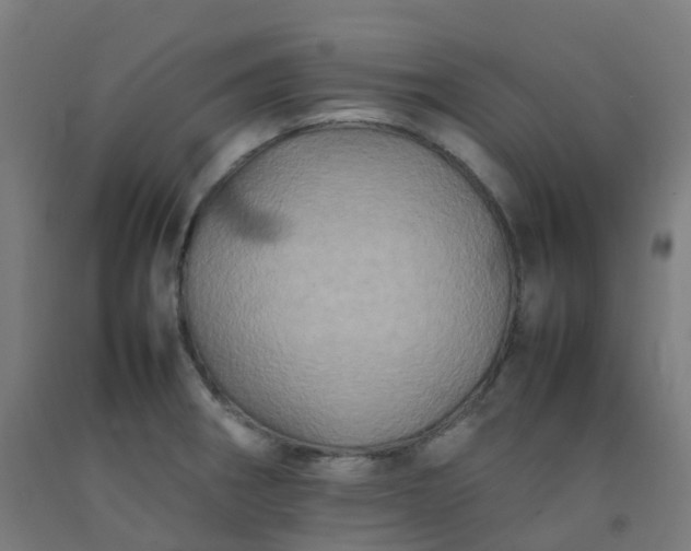X0000092271282200709281216