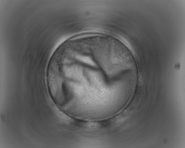 X0000092271283200709281216
