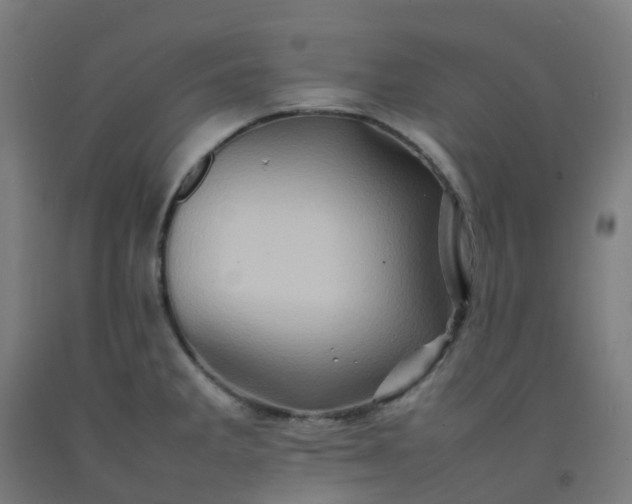 X0000092271285200709281216