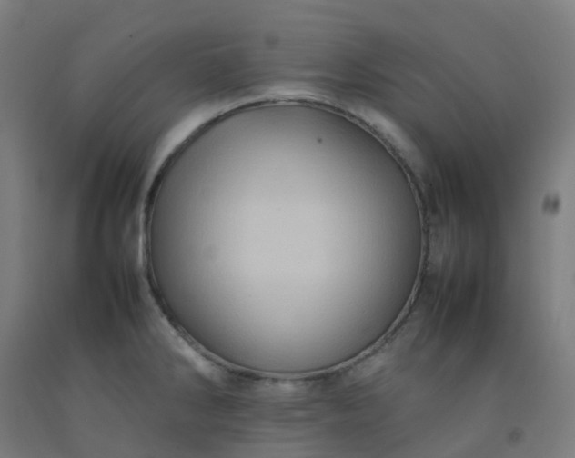 X0000092271286200709281216