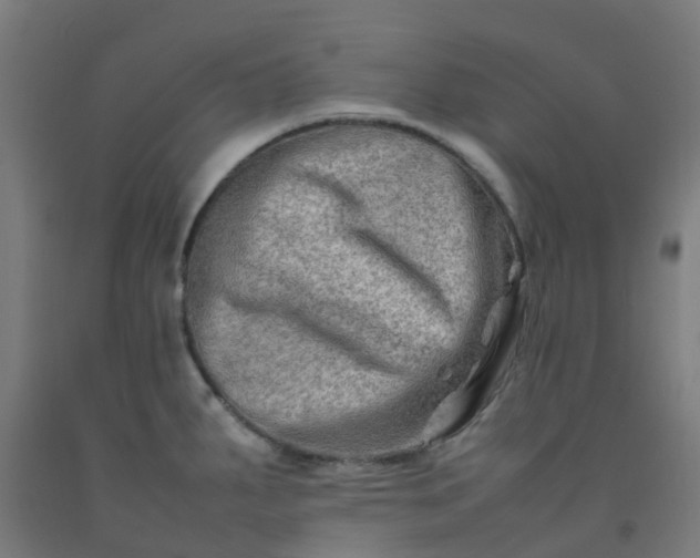 X0000092271287200709281216