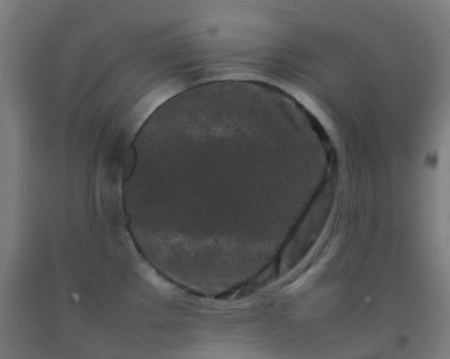 X0000092271289200709281216