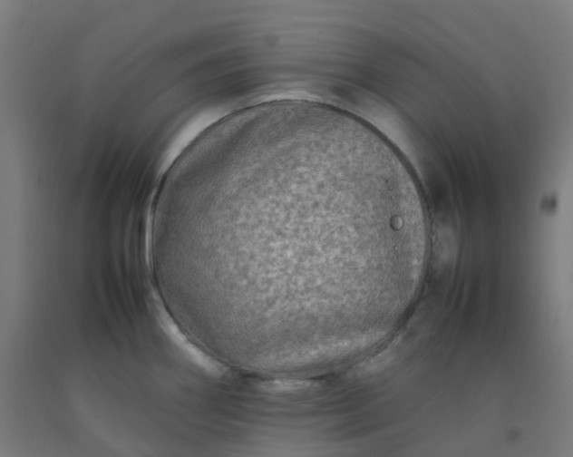 X0000092271290200709281216