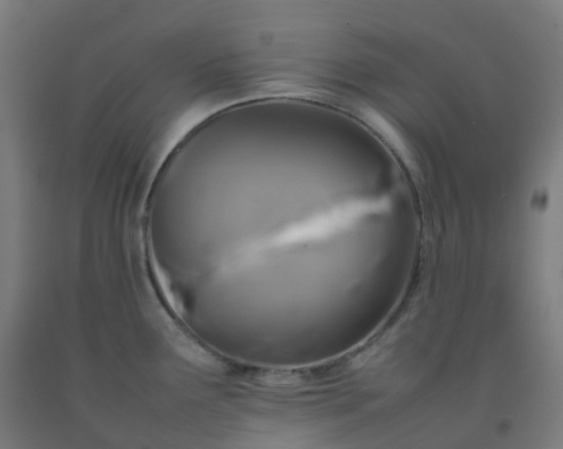 X0000092271291200709281216