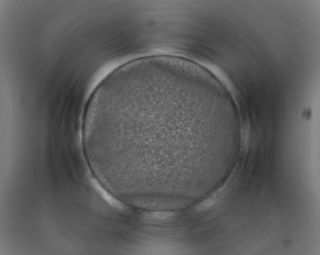 X0000092271294200709281216