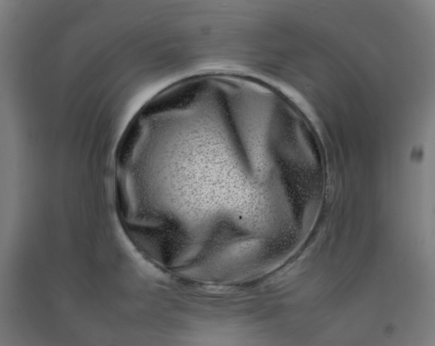 X0000092271295200709281216