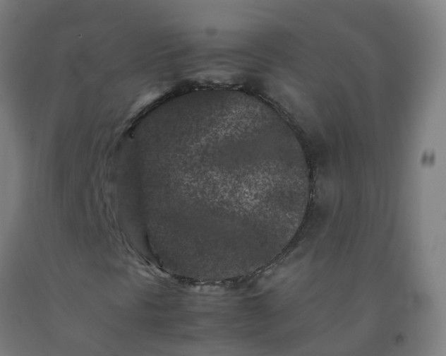 X0000092271297200709281216