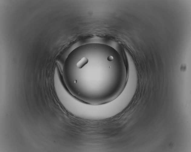X0000092271298200709281216