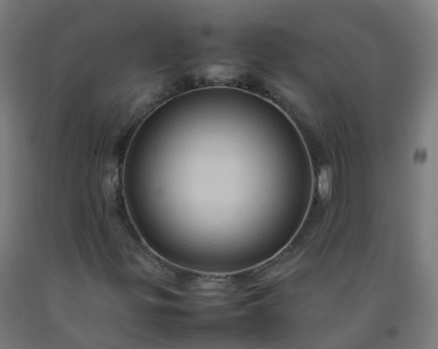 X0000092271299200709281216