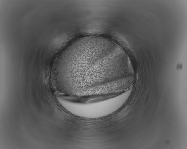 X0000092271300200709281216