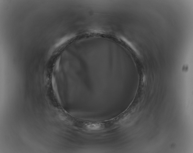 X0000092271303200709281216